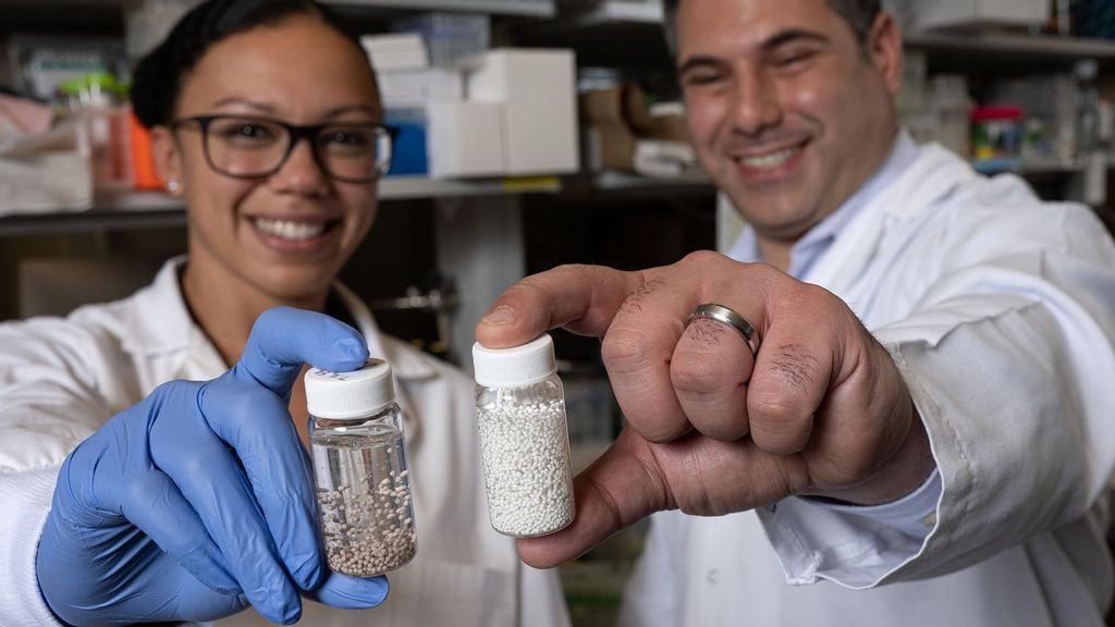 Rice University bioengineers Amanda Nash (left) and Omid Veiseh with vials of bead-like “drug factories” they created to treat cancer; The beads are designed to continuously produce natural compounds that program the immune system to attack tumors. Note: News release photo. (Jeff Fitlow, Rice University/Zenger)