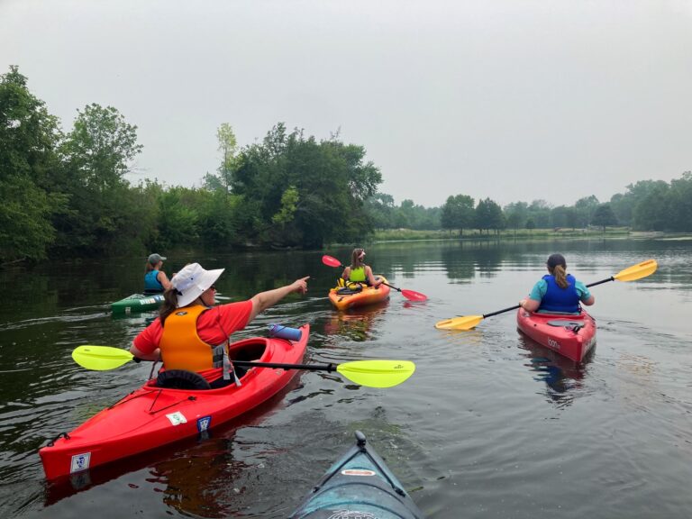 Summer kicks off with a Forest Preserve paddling program, hike, or BYOB bingo