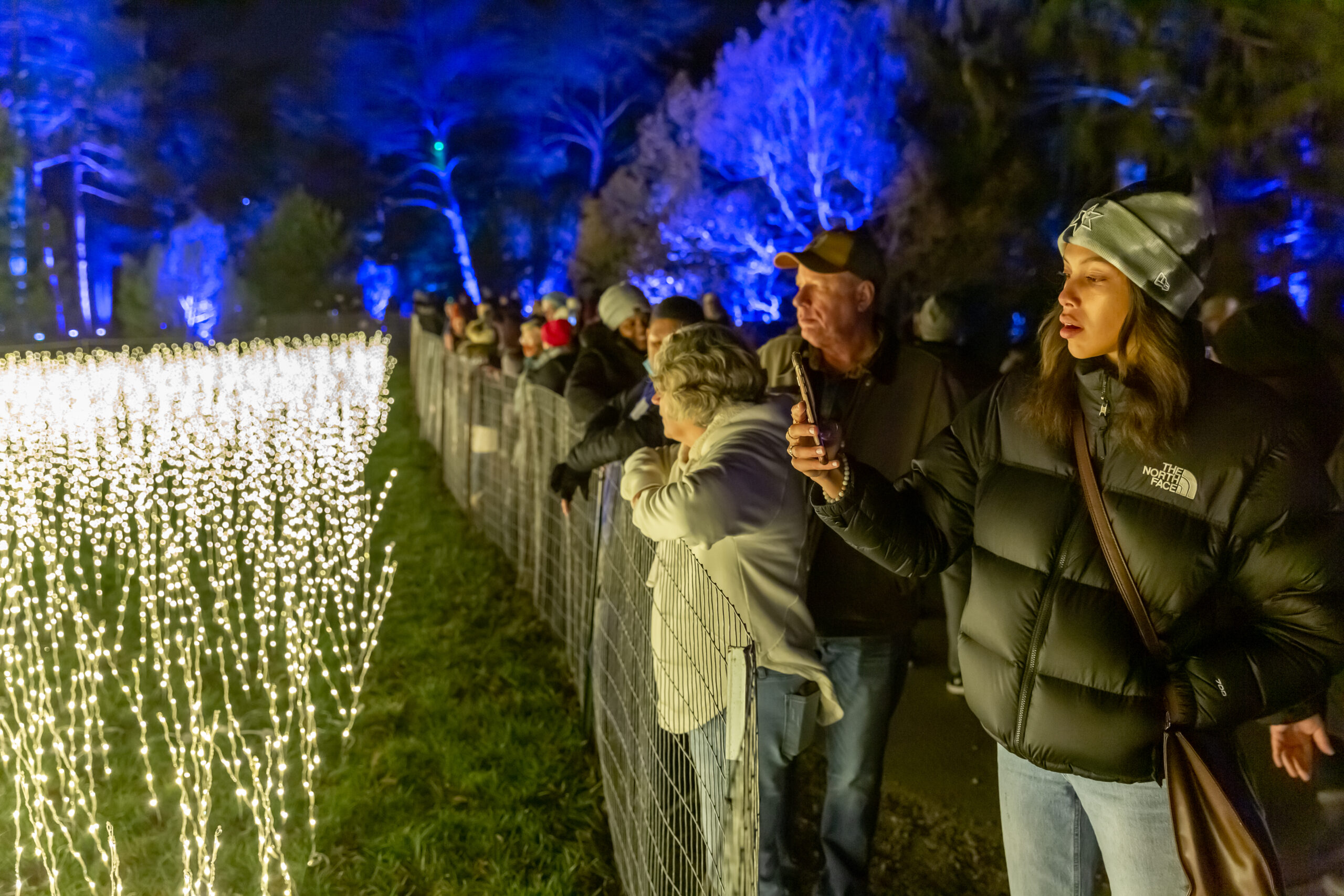 Illumination: Tree lights at The Morton Arboretum celebrates 10th year -  The Times Weekly