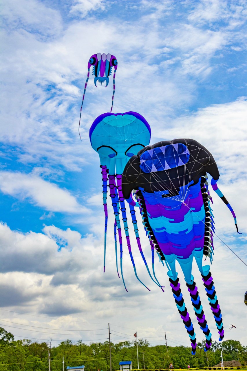 Kites in Flight Fest The Times Weekly