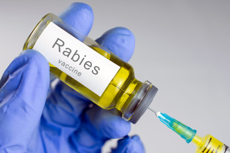   Joliet and surrounding communities are being reminded to be aware of rabies infected animals